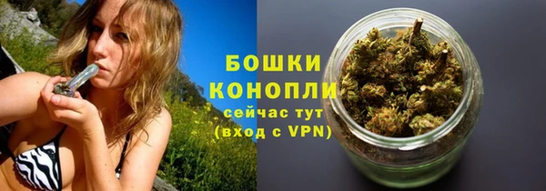 сатива Кинешма
