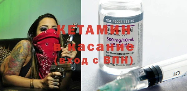 сатива Кинешма