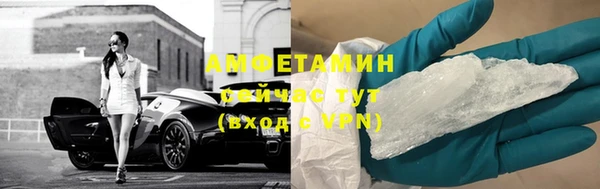 сатива Кинешма
