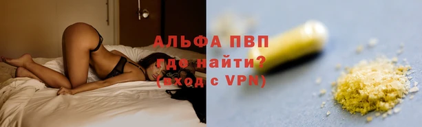 PSILOCYBIN Киренск