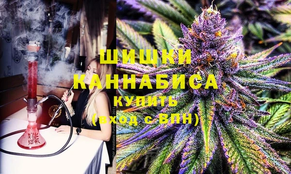 PSILOCYBIN Киренск
