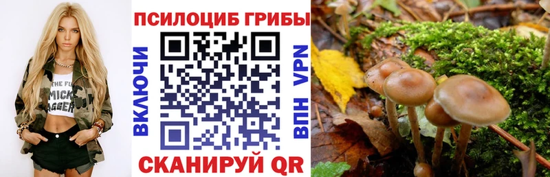 Галлюциногенные грибы GOLDEN TEACHER  Купить где  Волгореченск 